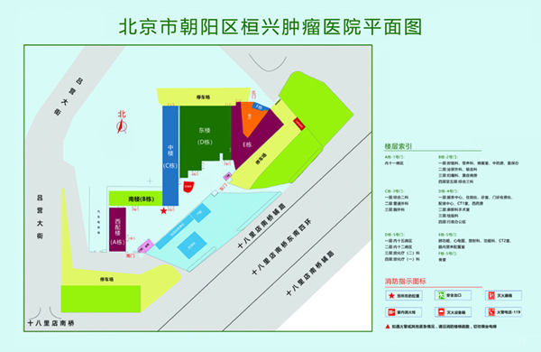 射精操屄马眼北京市朝阳区桓兴肿瘤医院平面图